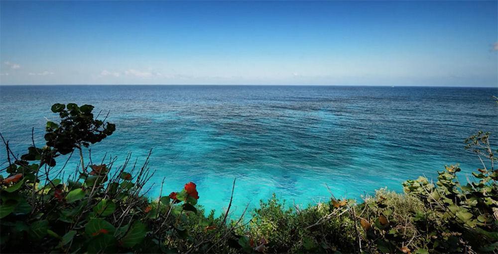 ホテル Frenchman'S Cove ポート・アントニオ エクステリア 写真
